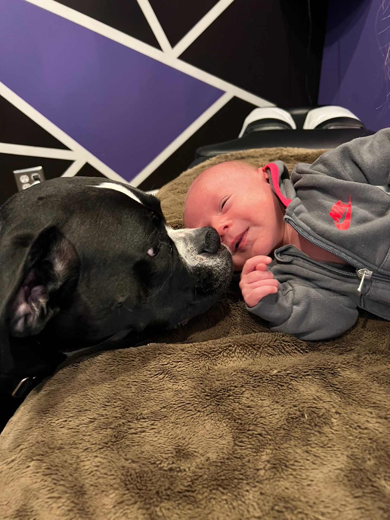 The office dog nose to nose with a smiling baby on the table